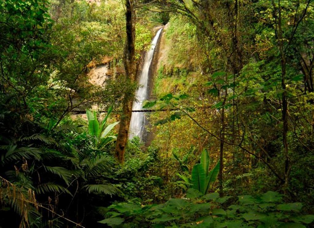Reserva Natural Atitlan Panajachel Ngoại thất bức ảnh